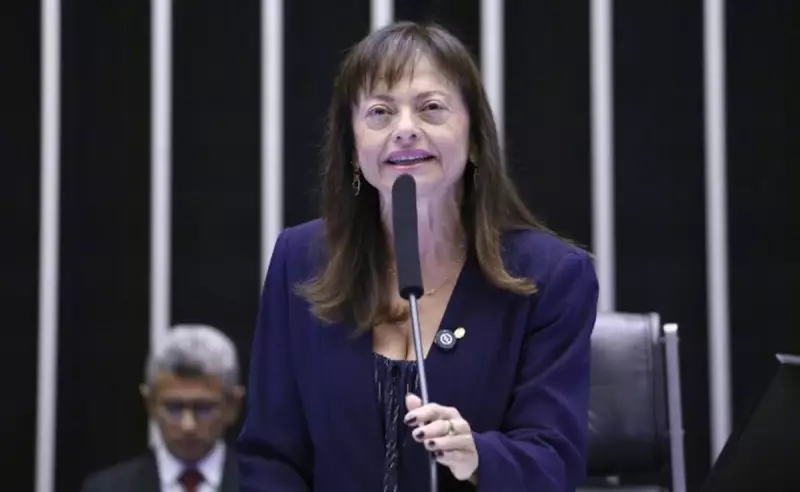 Câmara de Mato Grosso homenageia heróis da Independência da Bahia em sessão solene