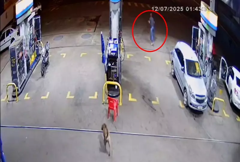 Câmera flagra momento em que motorista pede ajuda após ser sequestrada e estuprada por passageiro em SP