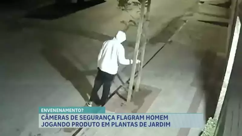 Câmeras flagram homem envenenando mudas de árvores em Belo Horizonte — crime ambiental choca moradores