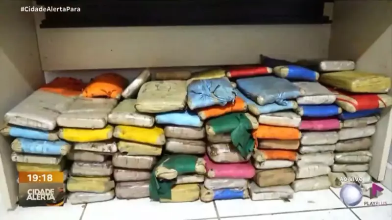 Caminhoneiro é preso com 130 kg de maconha na Transamazônica: veja detalhes da operação