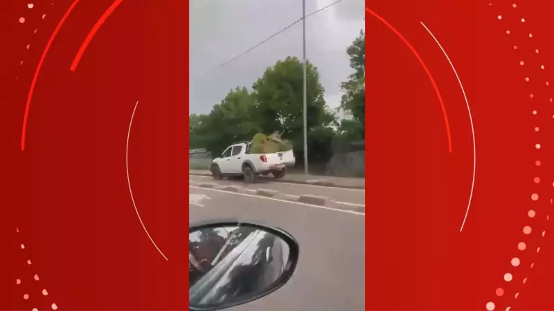 Caminhonete invade ciclovia em Macapá e viraliza nas redes — veja o vídeo chocante!