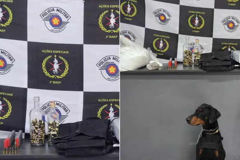 Cão farejador ajuda BAEP a apreender drogas e munições em condomínio no litoral de SP