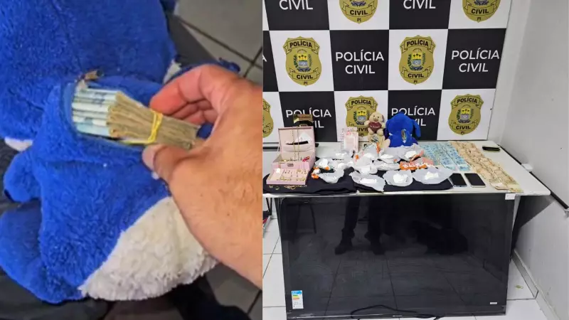 Cão farejador desvenda ursinhos de pelúcia com drogas em Teresina — veja o vídeo!