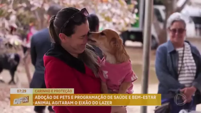 Caravana de Proteção Animal reúne amantes de pets no Eixão do Lazer em Brasília
