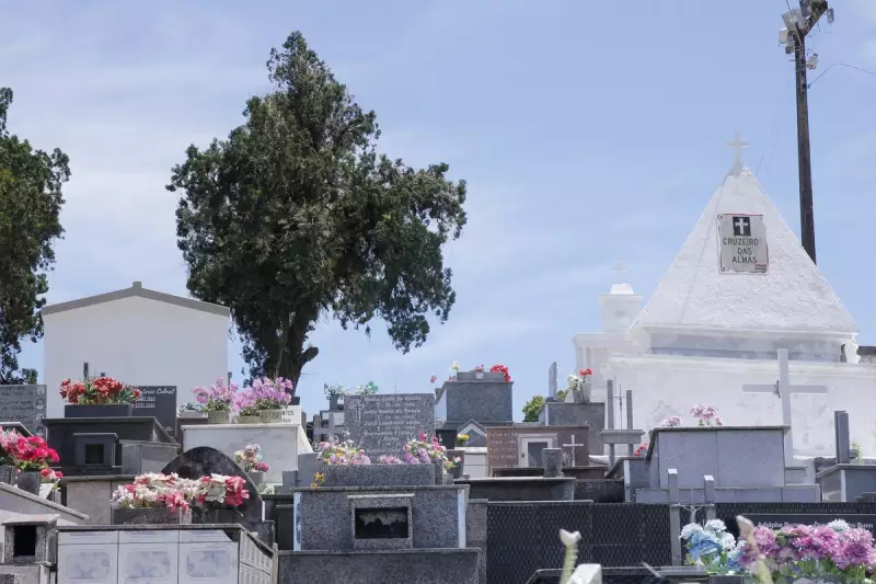 Cartel em funerárias de Florianópolis? TCE investiga suspeitas de conluio no setor