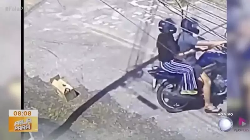 Casal é flagrado abandonando filhotes de gatos em cena chocante