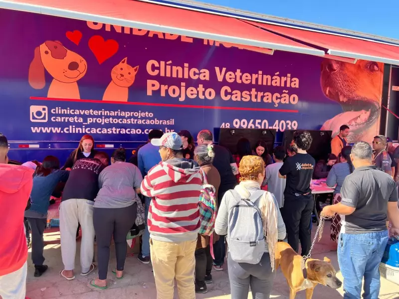 Castração Gratuita para Pets: Mutirão Ajuda Donos na Grande Florianópolis