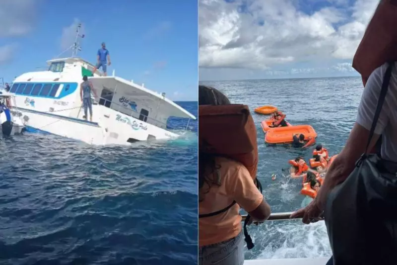 Catamarã colide com pesqueiro na Bahia e deixa passageiros à deriva — saiba detalhes