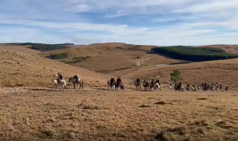Cavalgada entre Cânions no RS: Turismo Rural e Cultural em Destaque