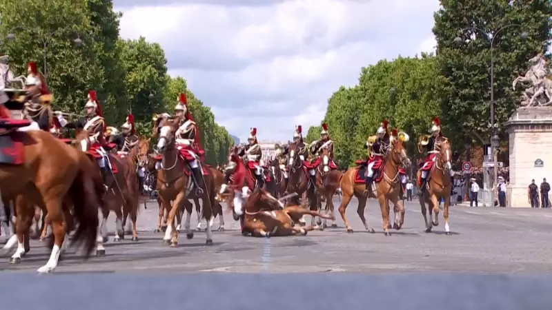 Cavalo tomba e soldado sangra em desfile do Dia da Bastilha na França; vídeo impressiona