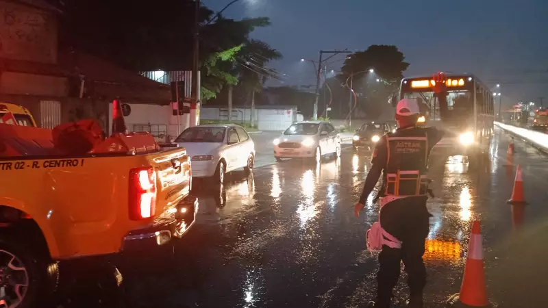 Cavalos morrem atropelados na RJ-106 em Maricá: tragédia no trânsito choca moradores