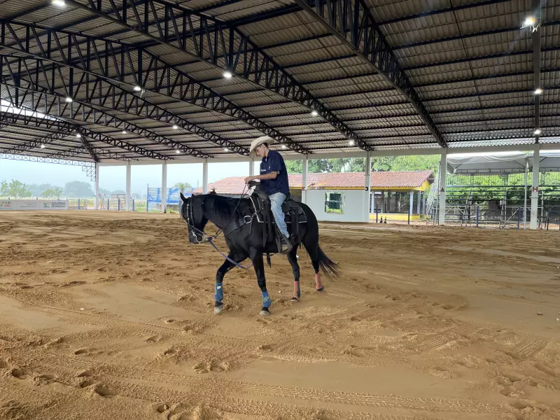 Cavalos movimentam o agronegócio e consolidam esporte no campo em Roraima