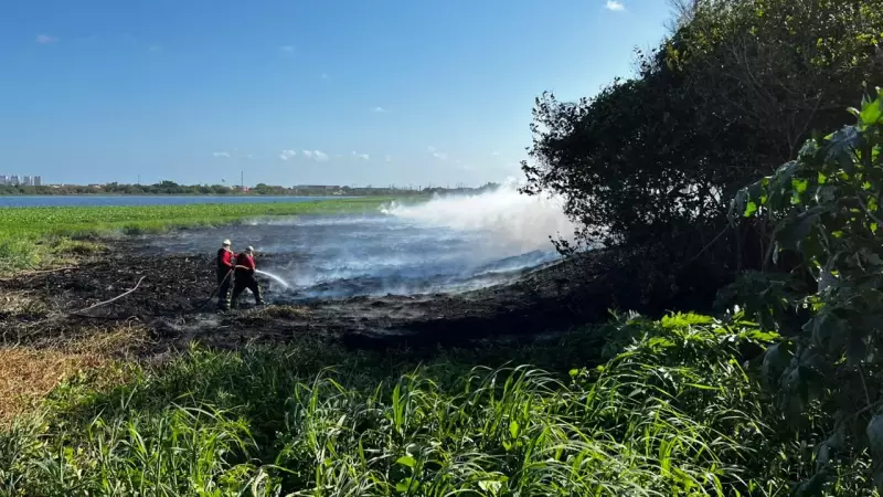 Ceará registra queda impressionante de mais de 50% nos incêndios florestais no primeiro semestre de 2025