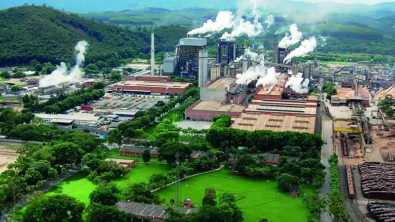 Cenibra e Grupo Plantar formam joint venture para inovação no setor de celulose