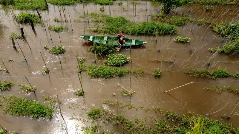 Cheia do Rio Solimões devasta plantações e deixa produtores rurais em situação crítica no AM