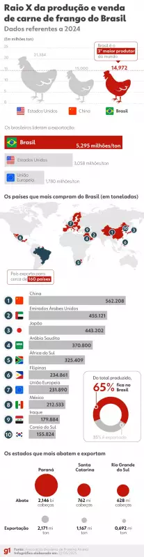 China avalia flexibilizar restrições à carne de frango do Brasil, afirma ministro