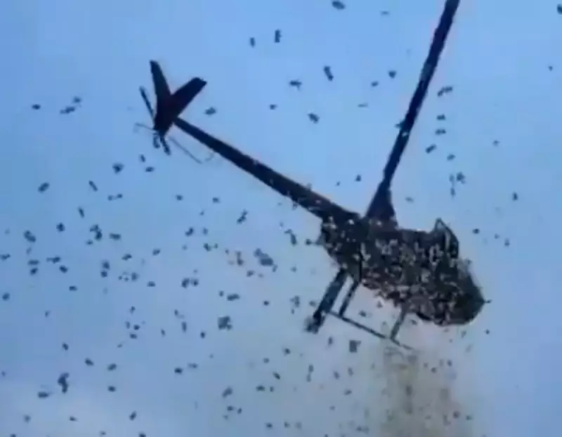 Chuva de dinheiro de helicóptero surpreende moradores de rua nos EUA — Assista ao vídeo!