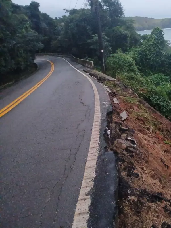 Chuva intensa em São Sebastião: árvores caem, casas são atingidas e deslizamento interdita rodovia