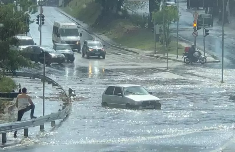 Chuva torrencial vira caos em Campinas: alagamentos, quedas de árvores e transtornos na tarde de sexta