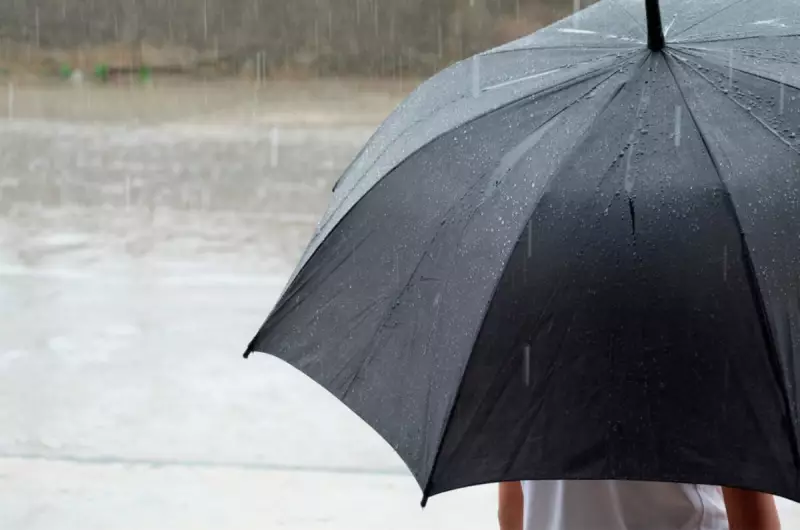 Ciclone Extratropical Chega a São Paulo com Ventania e Chuva Forte — Veja os Impactos!
