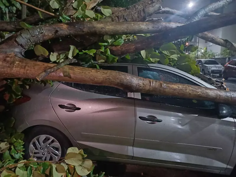 Ciclone no Sul do Brasil: ventos ultrapassam 110 km/h e causam estragos em várias regiões