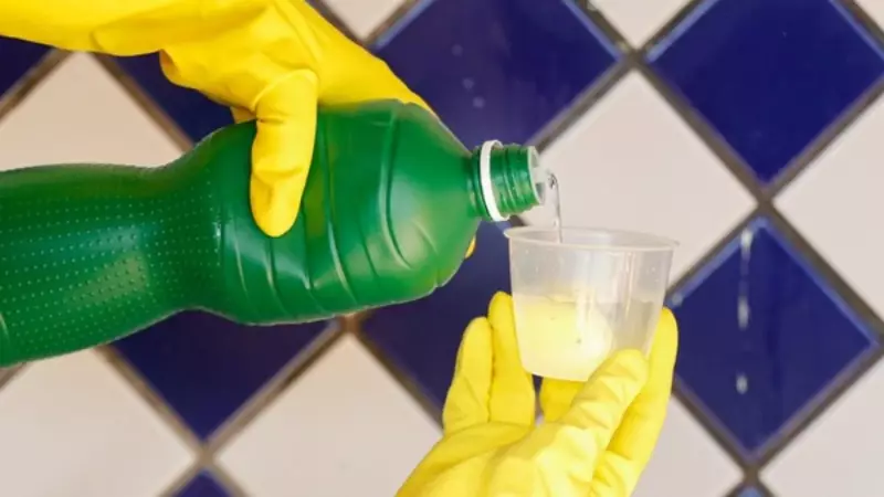Como eliminar mofo da sua casa: dicas práticas e eficazes para um lar mais saudável