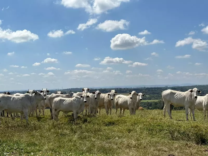 Conseagri reage a tarifa dos EUA e exige ação coordenada para proteger o agronegócio brasileiro