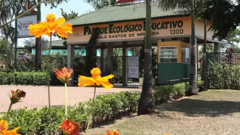 Criança é mordida por sagui em parque ecológico e recebe medicação errada em UPA de SP