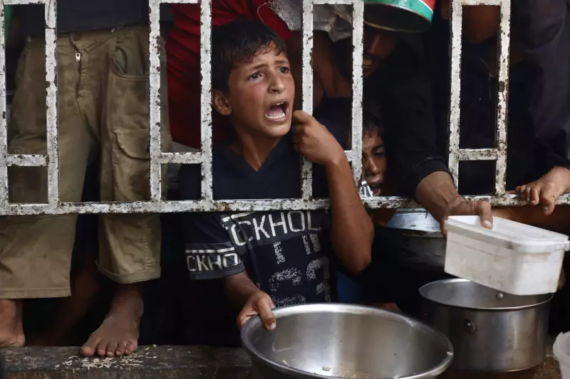 Crise Humanitária em Gaza: Mais de 100 ONGs Alertam para Cenário de Fome em Massa