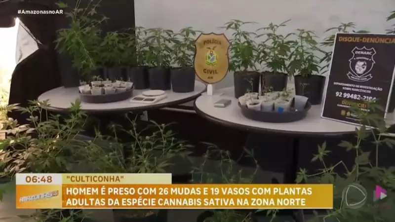 Cultivo de maconha em residência vira caso de polícia em Manaus — veja os detalhes