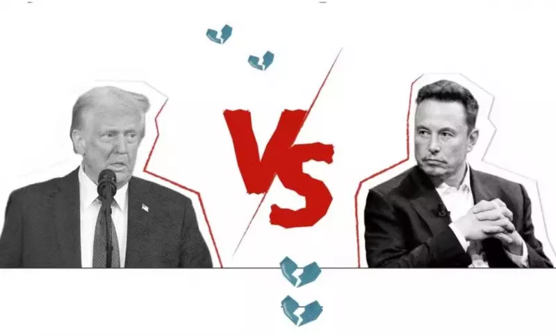 De divórcio a ameaça de deportação: a briga épica entre Trump e Musk que chocou o mundo