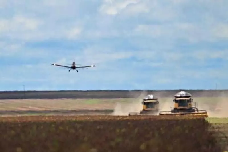 De pista de avião a 50 mil cabeças de gado: as fazendas milionárias de Mato Grosso do Sul que estão entre as mais caras do Brasil