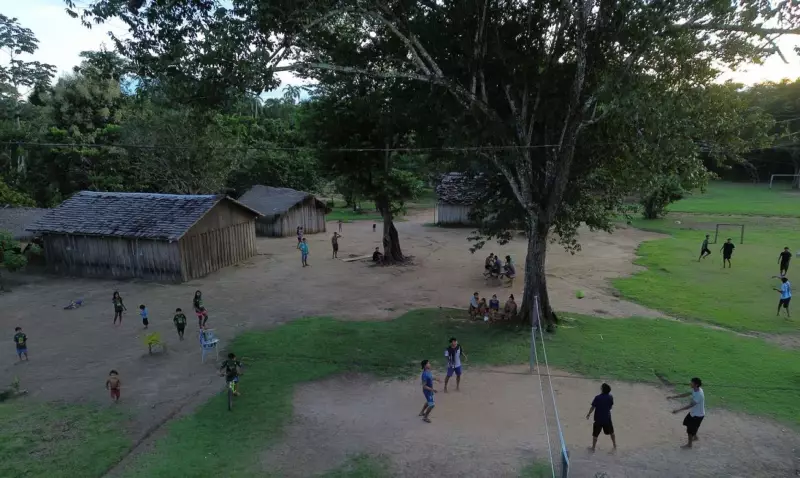 Descubra as unidades de conservação mais visitadas do Brasil em 2025