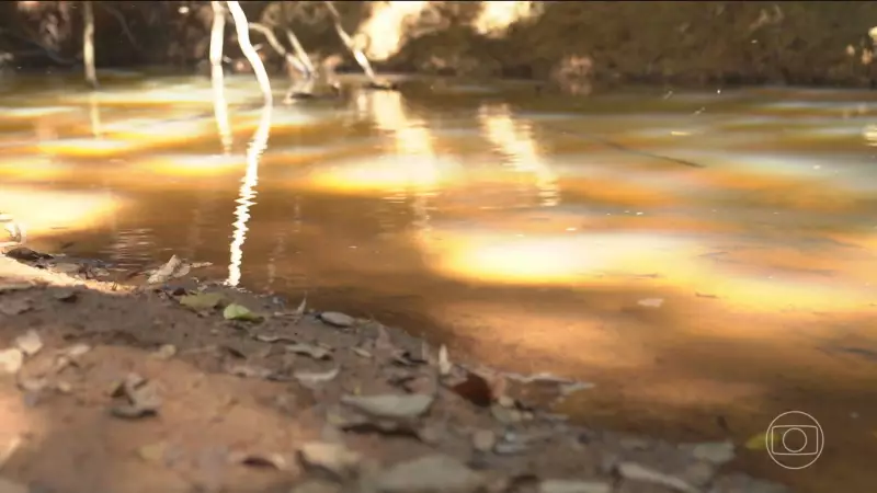 Desmoronamento em lixão contamina rios em Goiás e alerta para risco em 2 mil cidades