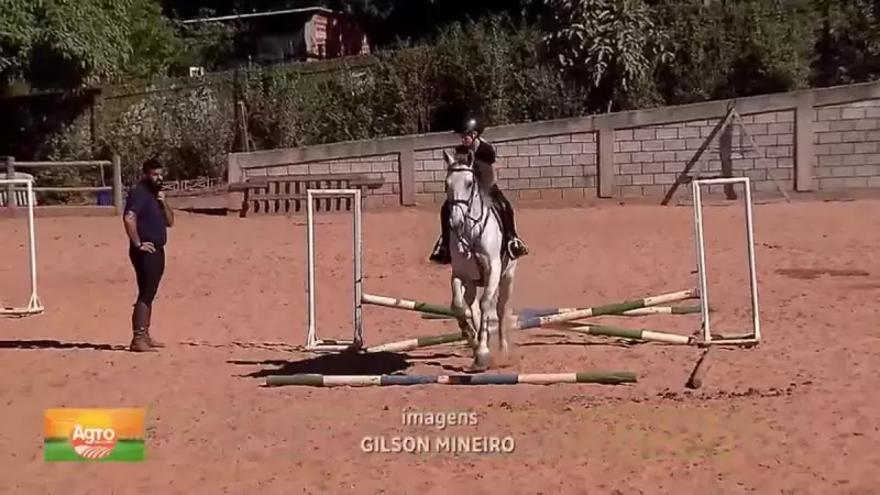 Dicas essenciais de segurança para montar a cavalo com tranquilidade
