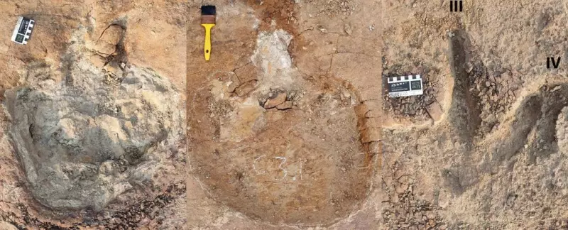 Dinossauros de espécies diferentes podem ter vivido em bandos mistos — descoberta revoluciona paleontologia