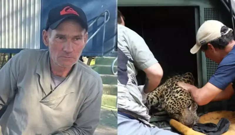 DNA de caseiro morto no Pantanal é encontrado em fezes de onça-pintada, confirma polícia
