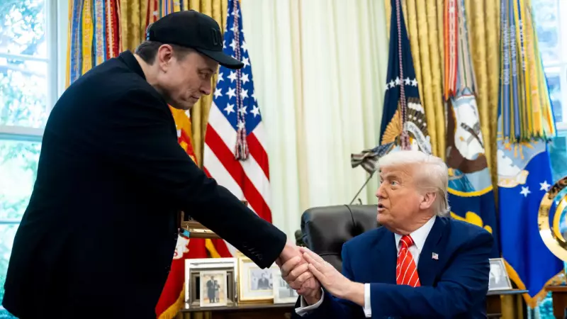 Elon Musk elogia sucesso de Trump após ameaça de deportação: O que está por trás do apoio?