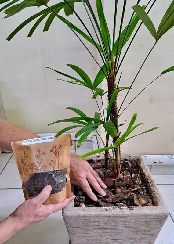 Embrapa inova com fertilizante sustentável para jardins urbanos feito de resíduos de aves