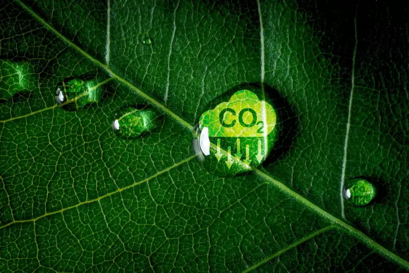 Energia Compartilhada: Como Empresas no Paraná Estão Reduzindo Custos e Turbinando ESG