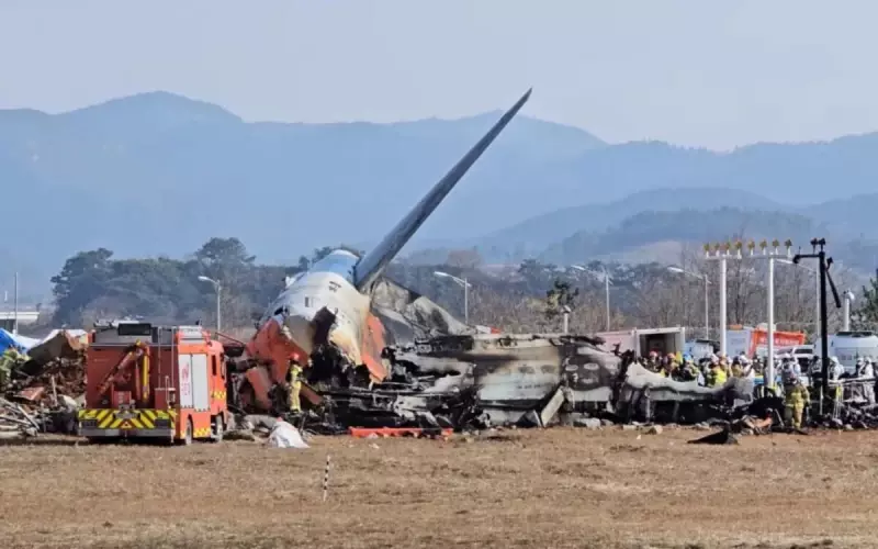 Erro fatal na Coreia: Pilotos desligaram motor errado antes de acidente aéreo