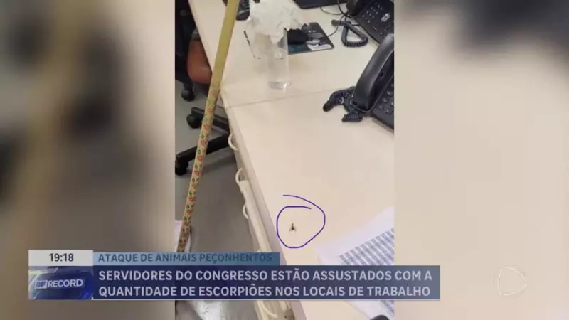 Escorpiões invadem anexos do Congresso Nacional e preocupam servidores em Brasília