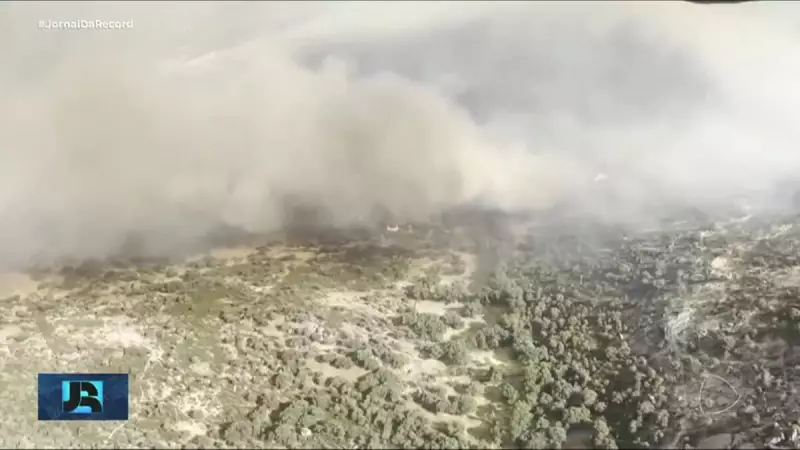Espanha em chamas: Bombeiros lutam contra incêndio florestal de grandes proporções