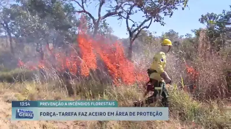Especialista revela: 95% dos incêndios no DF são causados por ação humana