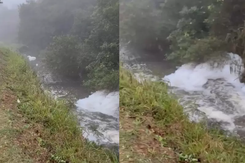 Espuma misteriosa no Ribeirão do Chá: esgoto clandestino e lavagem de batatas são os vilões, aponta Cetesb