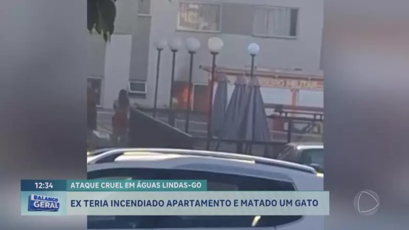 Ex-companheiro é acusado de incendiar casa e matar gato em ataque cruel no Entorno do DF
