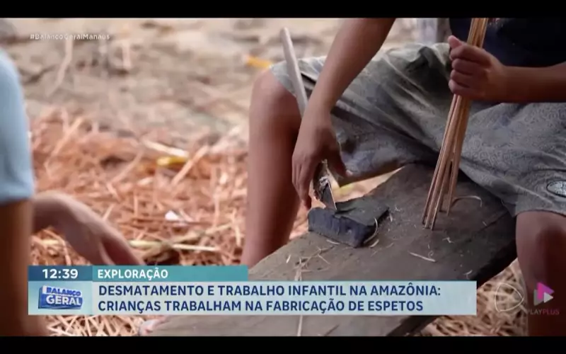 Exploração infantil na Amazônia: Crianças fabricam espetos em condições alarmantes