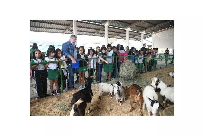 Expoagro 2025: Programação especial para crianças promete diversão e aprendizado no agronegócio