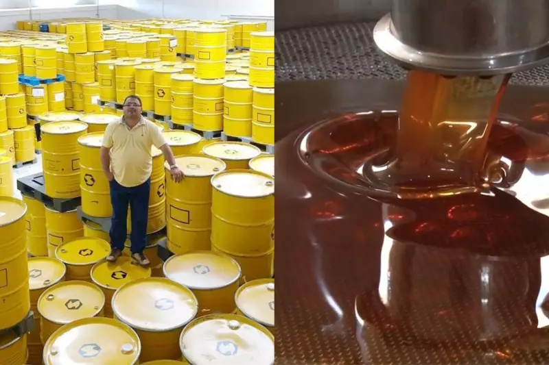 Exportadores de mel orgânico sofrem com tarifas de Trump e perdem venda de 585 toneladas