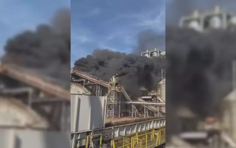 Fábrica de painéis de madeira pega fogo às margens da Rodovia Marechal Rondon em Agudos